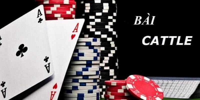 Bài Catte 6 lá thu hút nhiều người chơi tại Go88