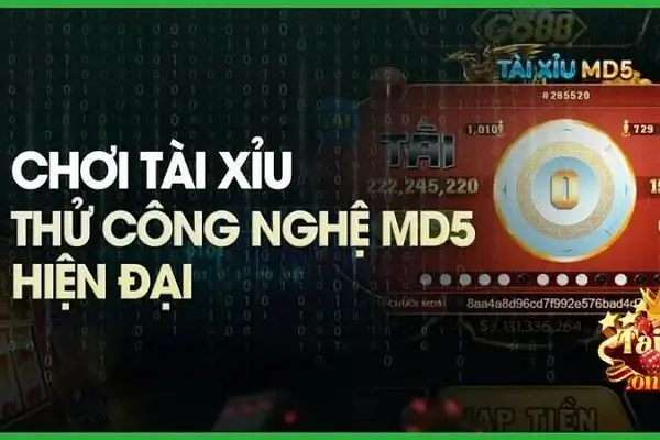 Bí quyết giúp bạn chơi Tài xỉu MD5 hiệu quả, thắng lớn 