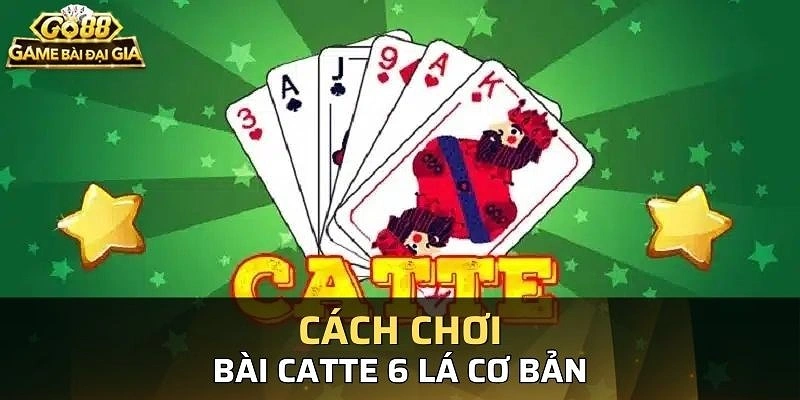 Một số mẹo chơi Catte 6 lá thú vị nên tham khảo