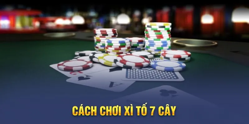 tai sao nen choi xi to tai go88 tai sao nen choi xi to tai go88